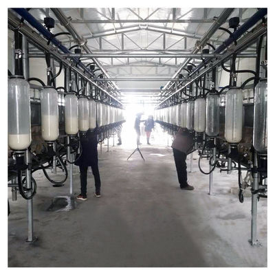 380v 7.5kw ছাগলের খামারের জন্য হেরিংবোন মিল্কিং পার্লার
