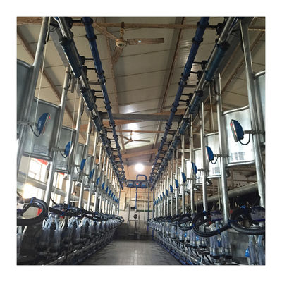ওয়ার্কিং ভ্যাকুয়াম 50KPa 2.2kw হেরিংবোন দুধের খামার জন্য মিল্কিং মেশিন