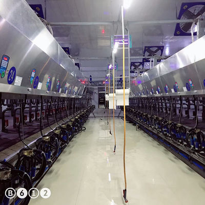 ডিজিটাল মিটারিং 220v 10 ইউনিট মিল্কিং পার্লার হেরিংবোন প্রকার
