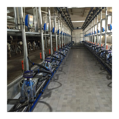 ওয়ার্কিং ভ্যাকুয়াম 50KPa 2.2kw হেরিংবোন দুধের খামার জন্য মিল্কিং মেশিন