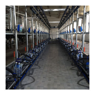 ওয়ার্কিং ভ্যাকুয়াম 50KPa 2.2kw হেরিংবোন দুধের খামার জন্য মিল্কিং মেশিন