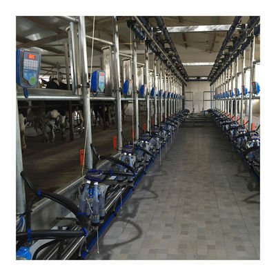ওয়ার্কিং ভ্যাকুয়াম 50KPa 2.2kw হেরিংবোন দুধের খামার জন্য মিল্কিং মেশিন