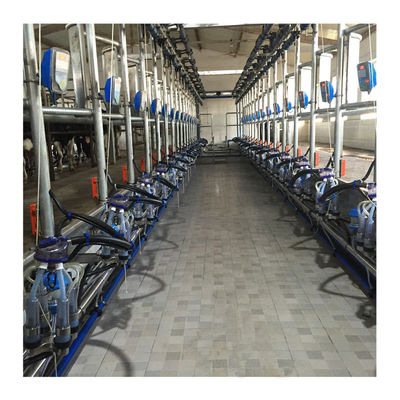 ওয়ার্কিং ভ্যাকুয়াম 50KPa 2.2kw হেরিংবোন দুধের খামার জন্য মিল্কিং মেশিন