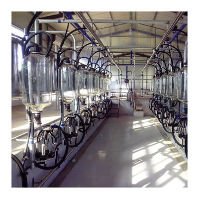 380v 7.5KW অটোমেটেড মিল্কিং পার্লার হেরিংবোন প্রকার