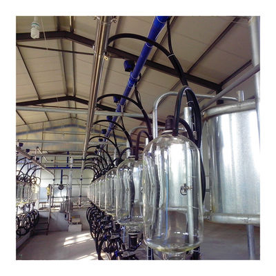 380v 7.5KW অটোমেটেড মিল্কিং পার্লার হেরিংবোন প্রকার