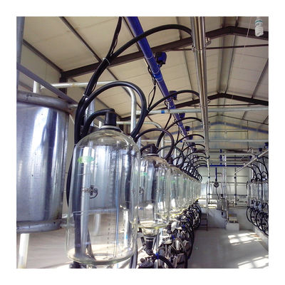 380v 7.5KW অটোমেটেড মিল্কিং পার্লার হেরিংবোন প্রকার