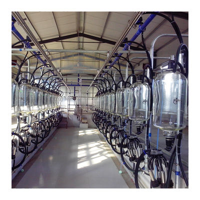 380v 7.5KW অটোমেটেড মিল্কিং পার্লার হেরিংবোন প্রকার